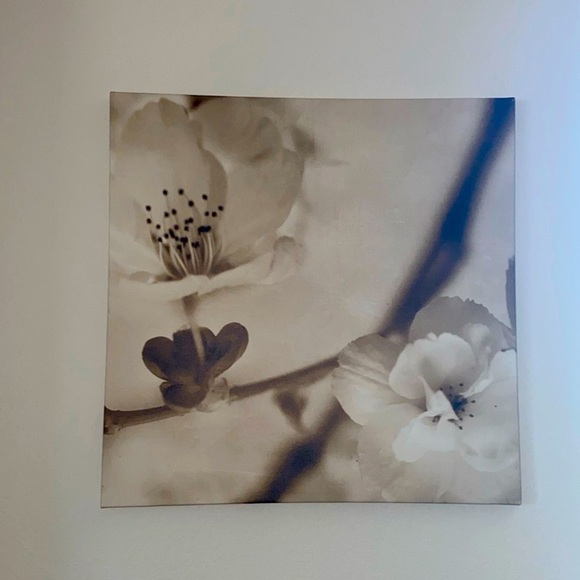 FLORA MAIA PICTURE SET IKEA PJATTERYD 22”x22”x 2"  Cherry Blossom Canvas - Picture 4 of 6